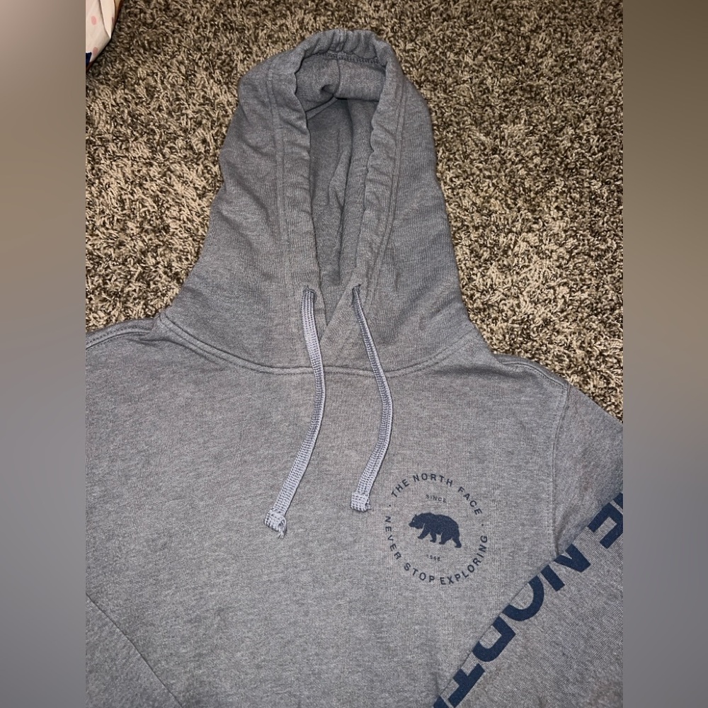 The North Face Men’s Bearscape Hoodie Size Small - Picture 4 of 7